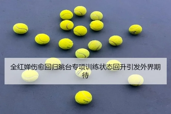 全红婵伤愈回归跳台专项训练状态回升引发外界期待